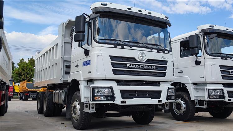 Shacman F3000 Dump Truck 6x4 for Sale In Tanzania