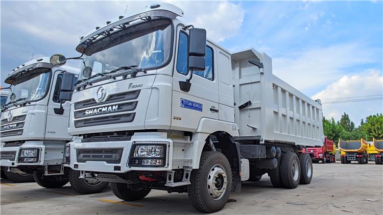 Shacman F3000 Dump Truck 6x4 for Sale In Tanzania